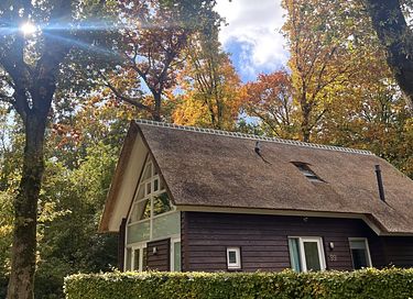 Luxuriöse Villa mit großem Garten in Drenthe - 2