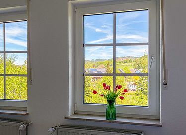 Ruime woning (12p) nabij Winterberg - 46