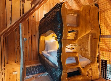 Magisch verblijf in een boomlodge - 17