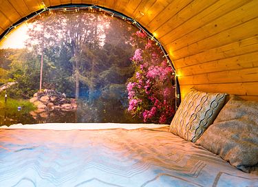 Insane wellness overnight stay in the forest - 43