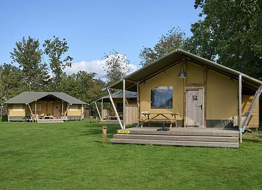 Tente safari avec sanitaires privés à Veluwe - 3
