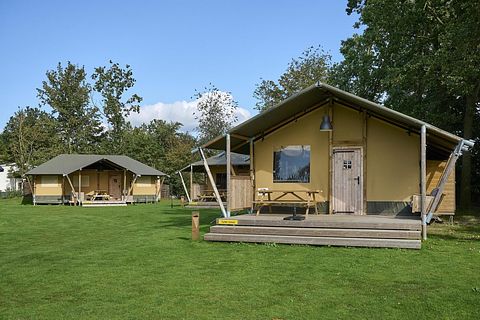 Tente safari avec sanitaires privés à Veluwe - 3