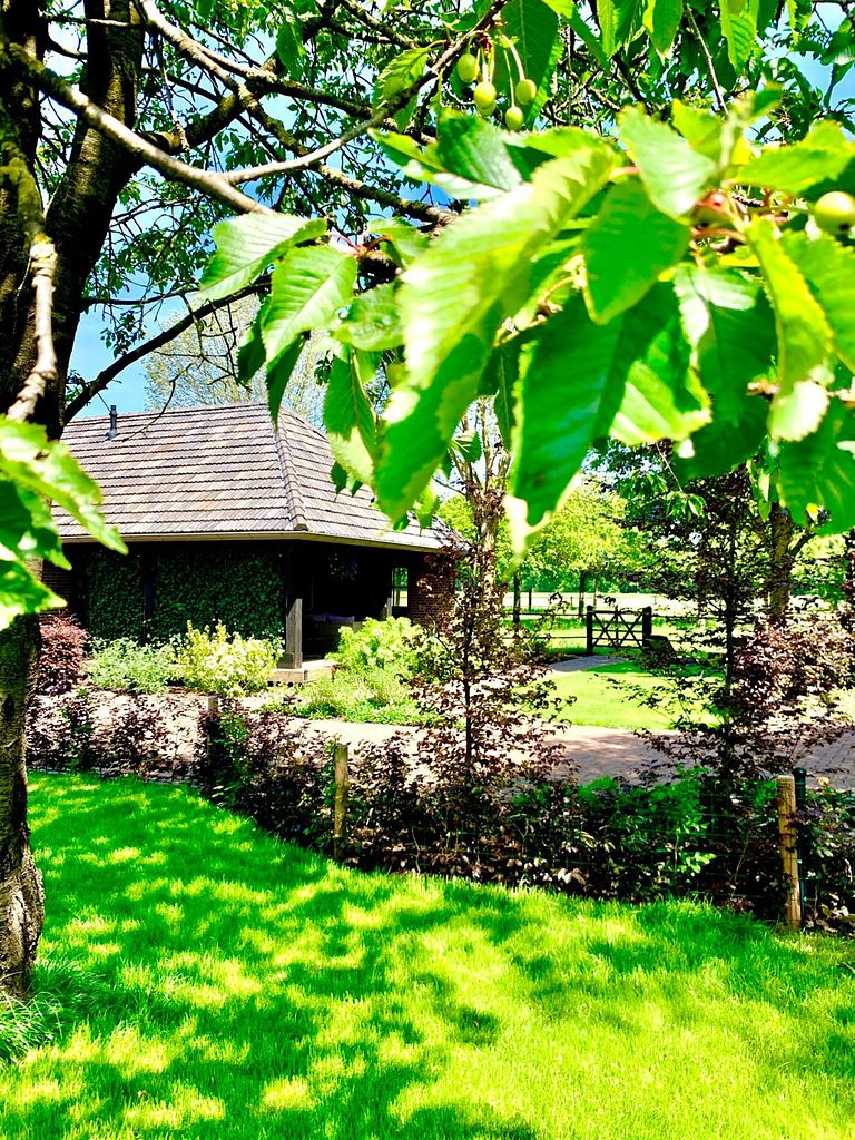 Sfeervolle B&B met uitzicht op paardenweide - 1