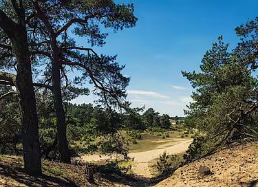 Chalet douillet au Veluws Park, chiens bienvenus - 2