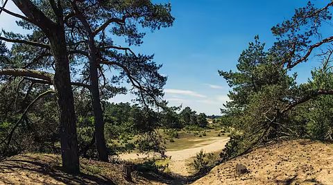 Chalet douillet au Veluws Park, chiens bienvenus - 2