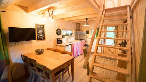 Maison dans la forêt en bois dans le Brabant-Septentrional - 3