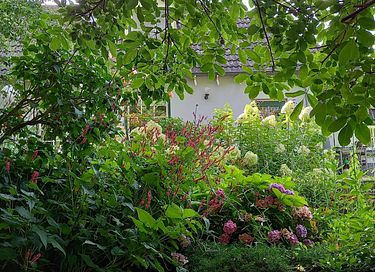 Nature cottage with own jacuzzi and sauna - 19