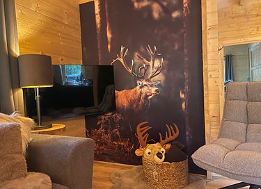 Tough luxury Scandinavian forest lodge on Veluwe - 25
