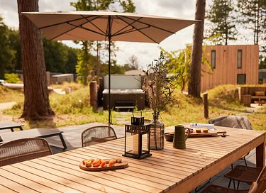 Wellness lodge (8p) in Drenthe - 30