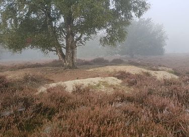 Overnachten in een hooiberg voor 2 personen - 20