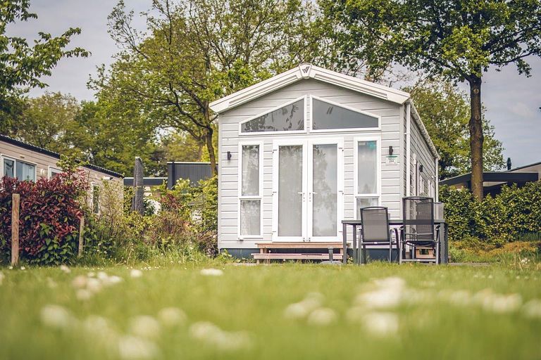 Compact tiny house (4p) near the Veluwe - 1