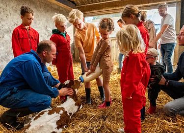 Glamping auf der Dairy & Calf Farm - 9