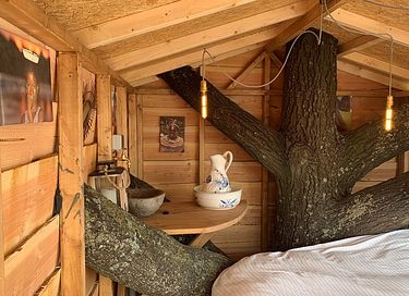 Dormez dans une unique cabane dans un arbre à Amsterdam - 4