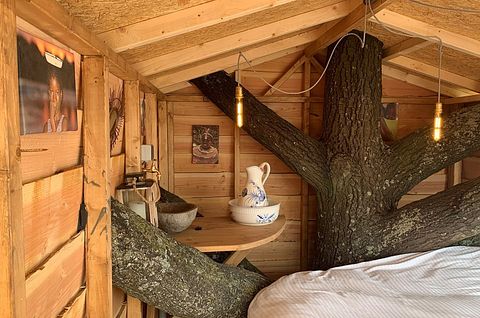 Dormez dans une unique cabane dans un arbre à Amsterdam - 4