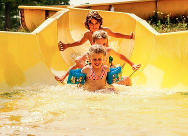 Luxe bos cottage voor vakantie in Limburg - 35
