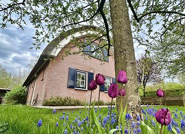 Rietgedekte vakantiehuis voor 6 personen - 26