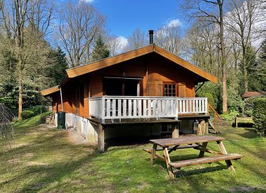 Finse bungalow met sauna & hottub in het bos - 2