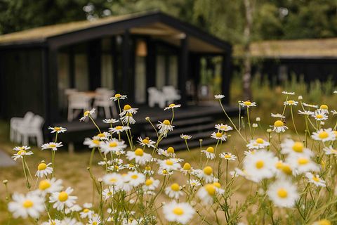 Logement de vacances (4p) avec bain à remous dans la nature - 3