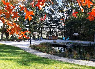 B&B in the forest with private swimming pond - 3