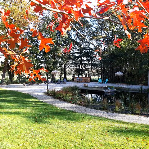 B&B in the forest with private swimming pond - 3