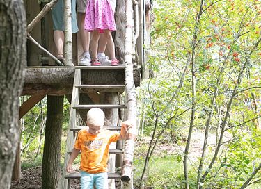 Cabane suspendue dans un beau camping à Drenthe - 7