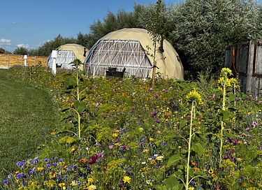Romantische glamping Dome met privé hottub - 27