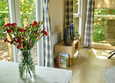 4-person vacation chalet in the middle of the Veluwe - 10