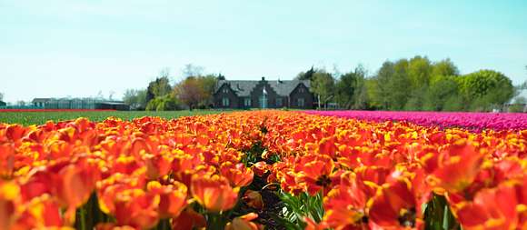 Bijzonder overnachten in Noord-Holland