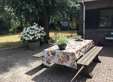 Spacious apartment in the polder of Zeeland - 25