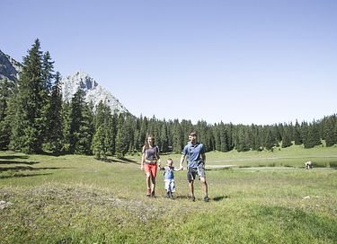 Grand chalet dans les Alpes autrichiennes - 31