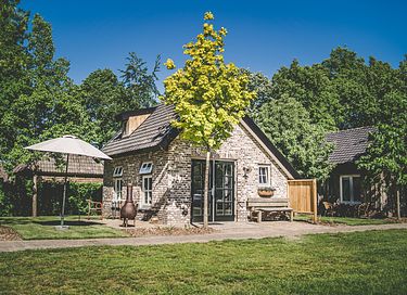 Luxe tiny house in prachtige groene omgeving - 1