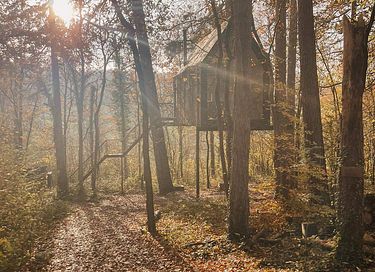 Einzigartige Hütte zwischen den Bäumen in den Ardennen - 15