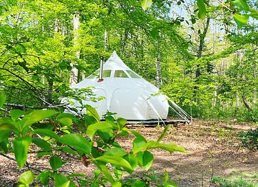 Sterren kijken vanuit je bed in deze glamping - 5