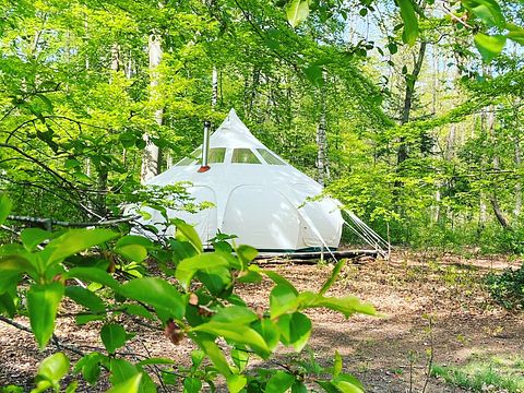 Sterren kijken vanuit je bed in deze glamping - 5