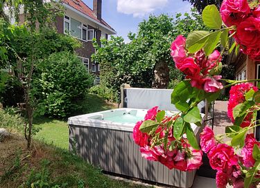 Groene oase met sauna en jacuzzi - 37