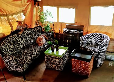 Glamping in the most beautiful Brabant place - 2