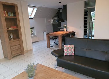 Ruime vakantiewoning aan viswater in Drenthe - 8