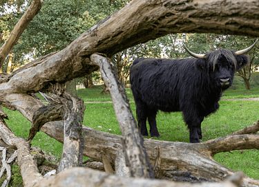 Freistehendes Häuschen in der Nähe des Mookerplas - 28
