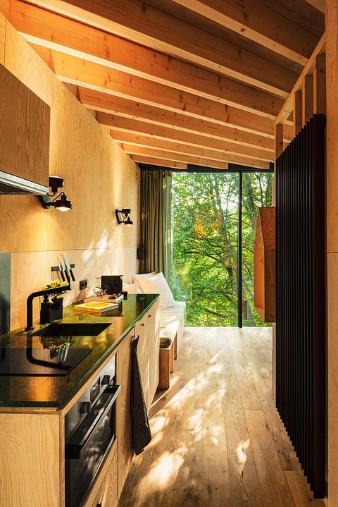 Casa sull'albero con sauna immersa nella natura - 5