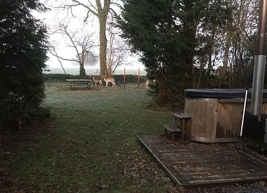 Tiny House in Friesland with its own hot tub - 11