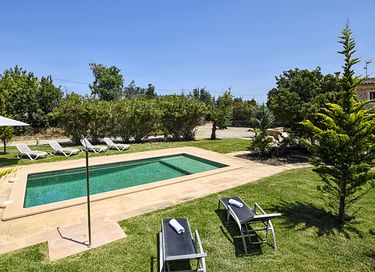 Groen vakantiehuis met veel privacy  - 10
