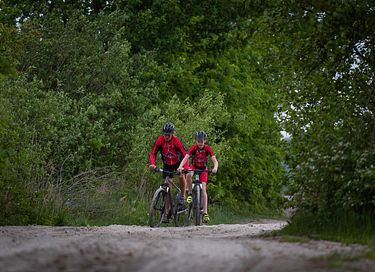 Hébergement de groupe dans une prairie à Drenthe ! - 41