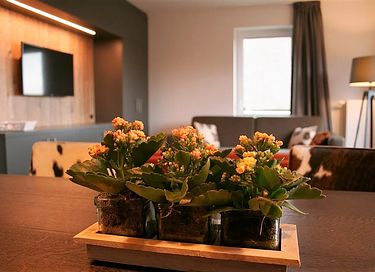Appartement avec vue sur les montagnes - 13