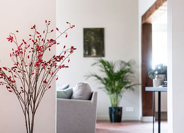 Luxe vakantiehuis in Vlaanderen - 10
