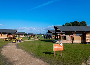 Glamping op kleinschalige melkveehouderij 
