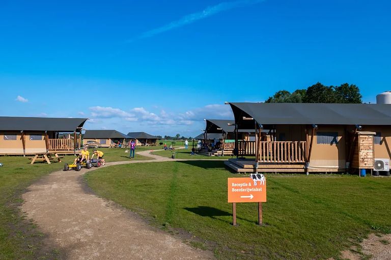 Glamping at Dairy Cattle & Calves Farm - 1