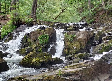 Gîte naturel près du parc naturel du Harz - 14