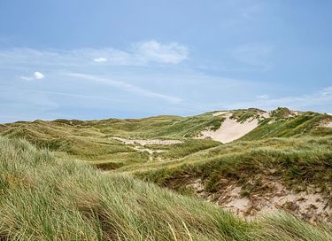 Groepsverblijf in een schitterende omgeving - 18