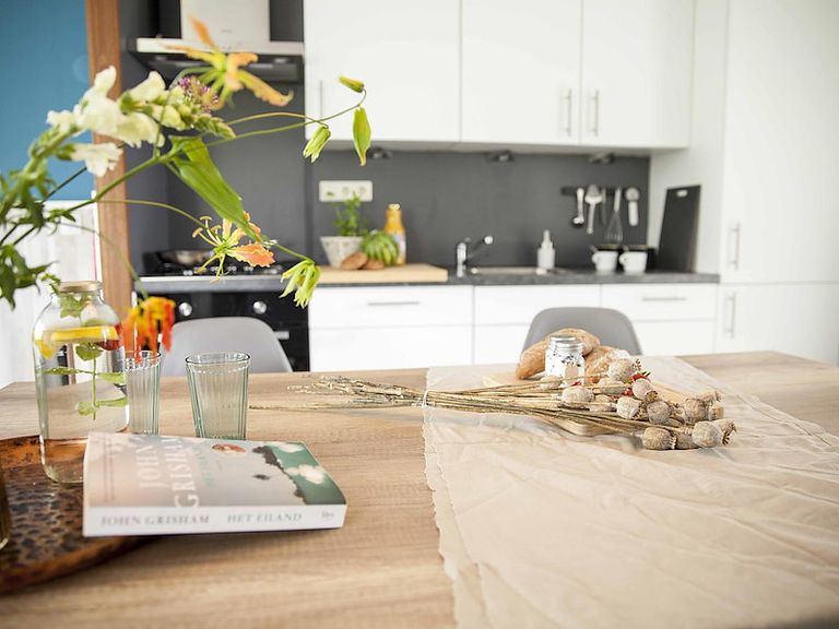 Charming stay on the Dutch coast - 1