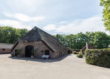 Glamping inmitten von Kühen in einer waldreichen Gegend - 31